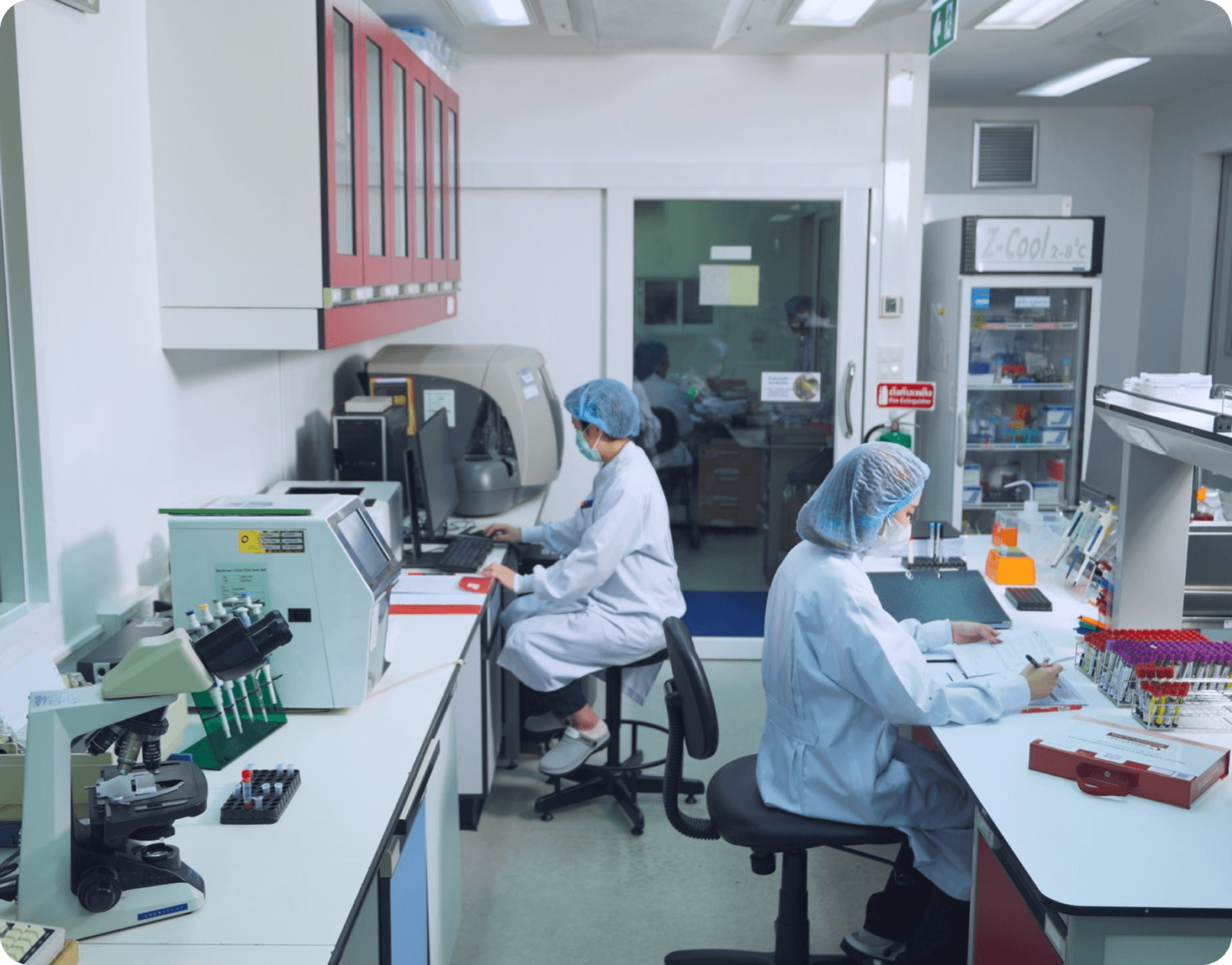 Scientists working in laboratory