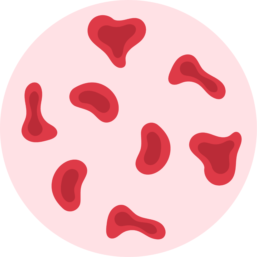 Stem Cells Graphic