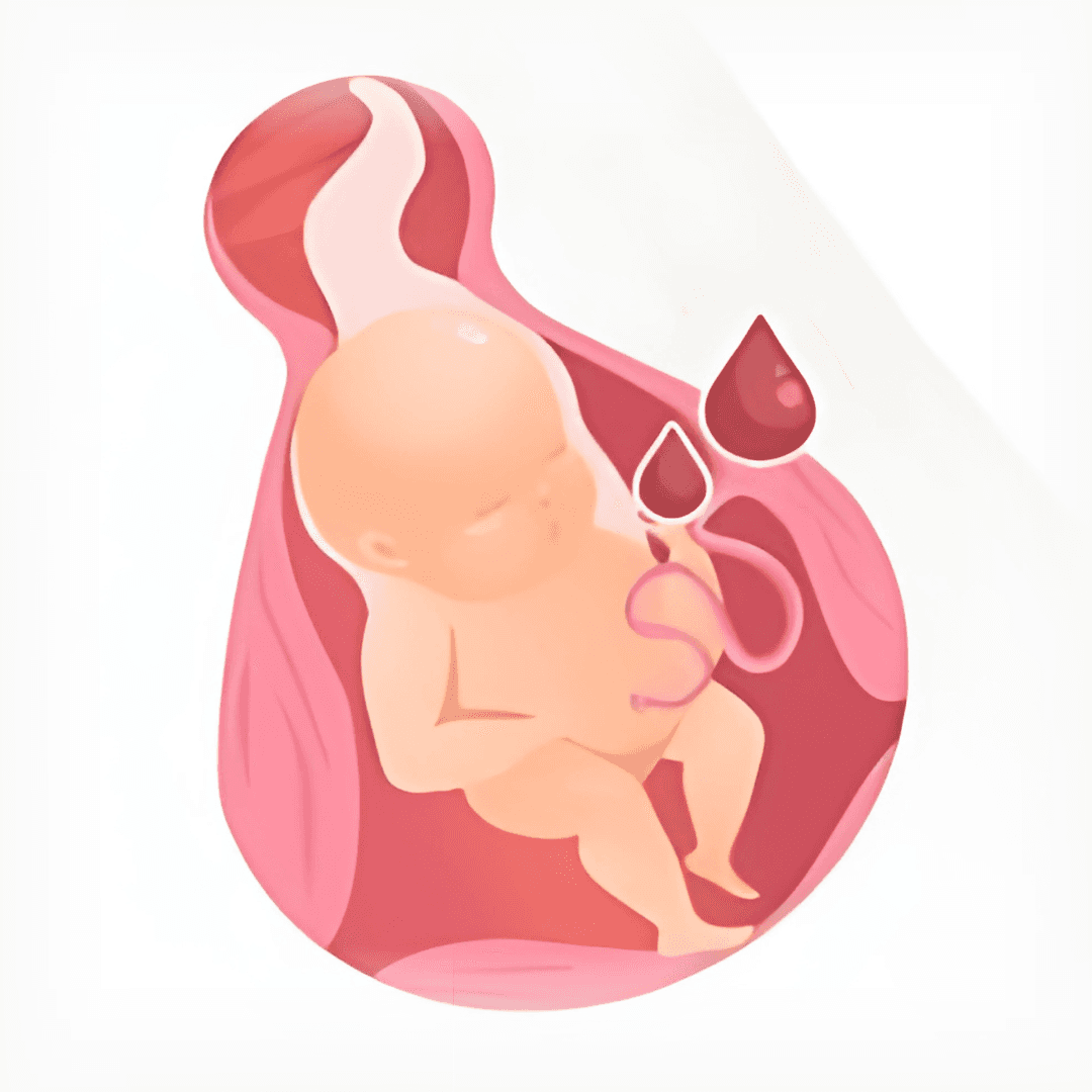 Newborn Baby Stem Cells